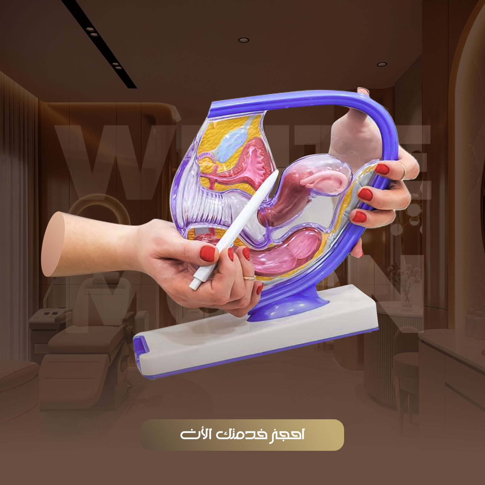 قسم الباطنة